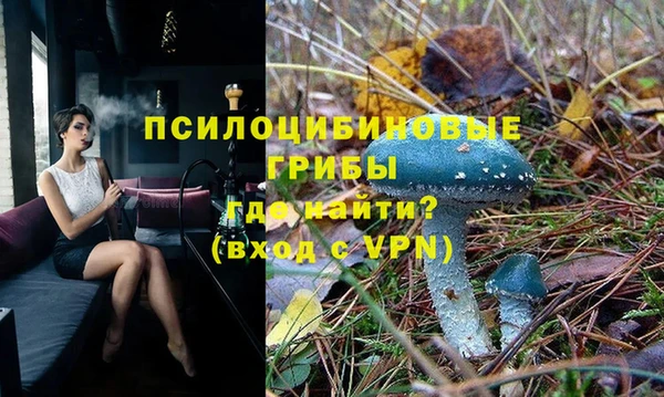 бутират Медногорск