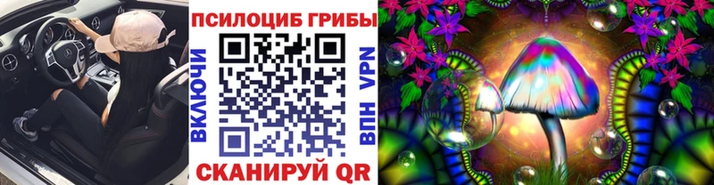 мега ссылки  Сысерть  Псилоцибиновые грибы мицелий 