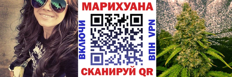 цена Сысерть Каннабис индика